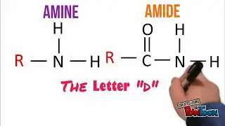 Remember functional groups easily