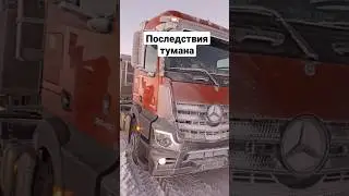 сквозь туман 