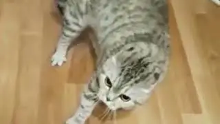 Резиновый АРБУЗ ?????  Да  ну НАХ      !