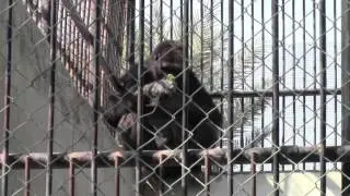 Dubai ZOO
