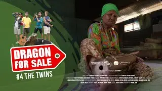 DRAGON FOR SALE #4 The Twins