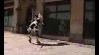 La vaca loca (Crazy Cow)
