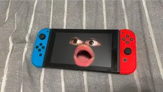 Life of A Nintendo Switch