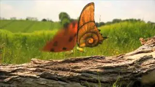 Minuscule Teaser Saison 2