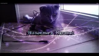 ХОРОШИЕ НОВОСТИ ✔✓