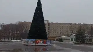 Славянск 15 Декабря 2023 — Площадь, Голуби, Ёлка, Слякоть, Дождь.