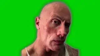 the rock eyebrow raise green screen in 8K