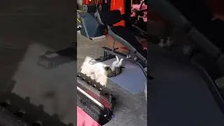 Este gato tiene una vida fitness mejor que la mía