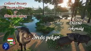 🐗Planet Zoo animals #148 | Collared Peccary - Pig kinship