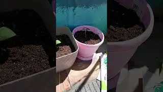 Академия на грядках🌱🤭