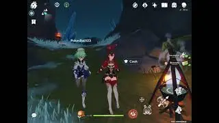 When someone crashes in co op - Genshin Impact