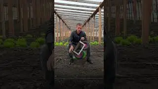 Изготовил скамейку на колёсах для огорода 