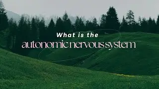Autonomic Nervous System | Fight, Flight, and Rest