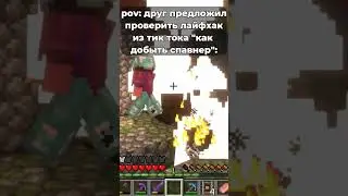 pov: Друг предложил проверить в Minecraft лайфхак из tiktok😶 #minecraft #lifehacks #майнкрафтприколы