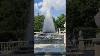 Зарисовка, Петергоф.
