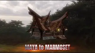 Maya to Marmoset