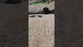 трамплин не удался. 