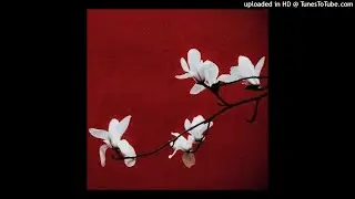 [free for profit] ambient + experimental type beat 