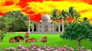 How to make vfx tiger effect || in kinemaster for Android phone editor by Aman