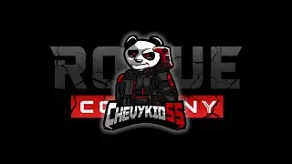 Call of Duty Player Goes Rogue