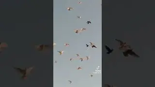 7 ноября 2023 г.