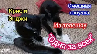 Крис и Энджи 