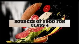 CHAPTER - SOURCES OF FOOD | CLASS - 4 | EVS