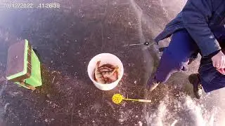 Зимняя рыбалка в Астрахани