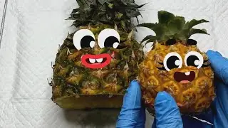 Unveiling the Hilarious Food Animation: Side - Splitting Doodle Adventures!