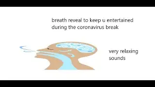 breath reveal