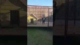 Друг ждет....
