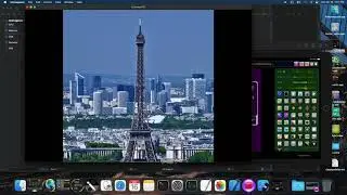 SwiftUI Catalyst App - GridView, Conditional Rendering