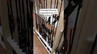 Спиннинги до 100 рублей 