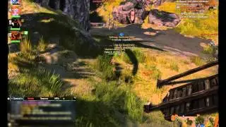 Cangrejo al escape - Cala del Sol Austral - Guild Wars 2