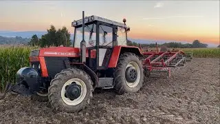 🔥WIOSNA 2022! Uprawa i siew owsa🔥           Ursus 360-3p// Zetor 8245