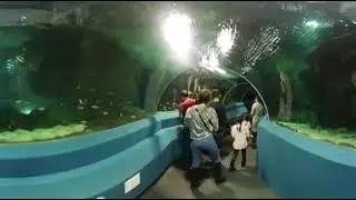 Oceanarium Astana 2018 March