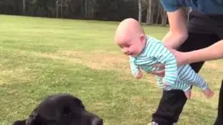 Baby laughing at dog
