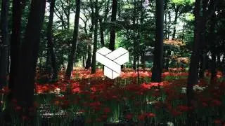 Donna Lewis - I Love You Always Forever (Aquasox Remix)