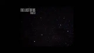 Southern Star Constellation in TLOU Part 2 Remastered?