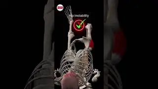 Толчок бедра на 1 ноге