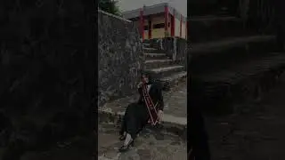 #vidioviral