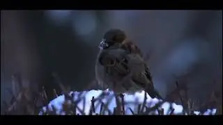 "Сен білесің бе?"