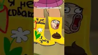 Блохастые