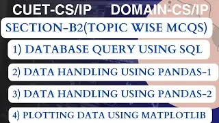 CUET MCQ Question and Answers 2024 | Domain-CS/IP | Section-B2 