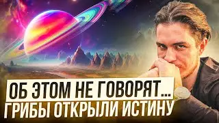Пробуждающая правда | Что ждёт тебя на грибах ?