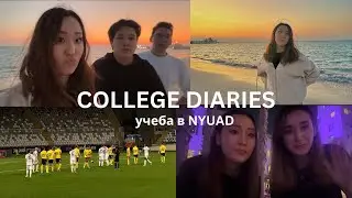 college diaries: будни студентки NYUAD💜