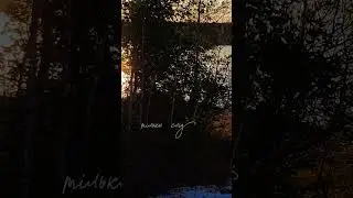 Summer sunset #lyric #Short font Bright Gabbemy. Історія про літо. #font #shortvideo #шрифт #шрифт