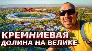Достоинства и недостатки Кремниевой долины / Офис Samsung в Калифорнии