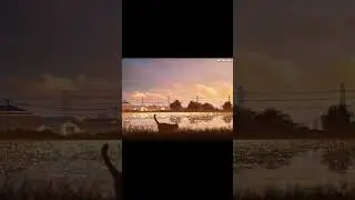 Riverside Evening  #aftereffects #photoshop #cat #sunset #animation