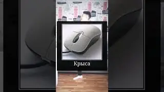 #юмор #мем #мемы #мемы2022 #мемчик